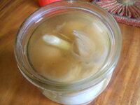 DSCN8731.JPG DSCN8731.JPG