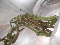 DSCN8710.JPG DSCN8710.JPG