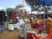 DSCN8804.JPG