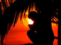 smart_sunset_.JPG