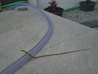 20261003_094529.jpg