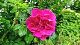 20260520_090939.jpg