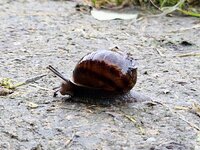 20261002_083509.jpg