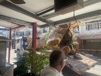 IMG_8590.jpeg