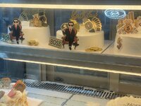 IMG_8579.jpeg