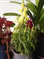 IMG_20240608_095951_112.jpg