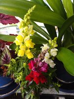 IMG_20240608_095650_566.jpg