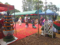 DSCN8867.JPG