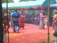 DSCN8875.JPG DSCN8875.JPG