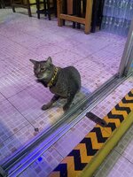 IMG_8671.jpeg