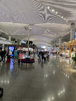 IMG_8498.jpeg