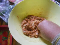 DSCN8661.JPG