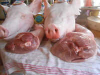 DSCN0444.JPG