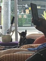 IMG_8740.jpeg