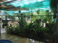DSCN9076.JPG