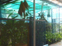 DSCN9077.JPG