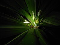 DSCN9086.JPG