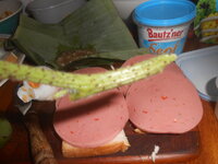 DSCN8708.JPG