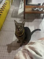 IMG_8762.jpeg