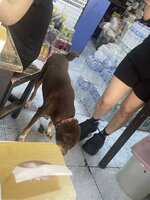 IMG_8812.jpeg