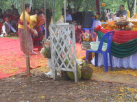 DSCN8920.JPG