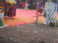 DSCN8922.JPG DSCN8922.JPG