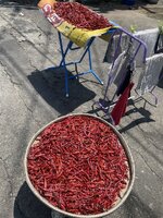 IMG_8773.jpeg