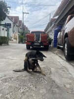 IMG_8817.jpeg