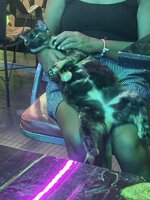 IMG_8827.jpeg