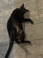 IMG_8830.jpeg