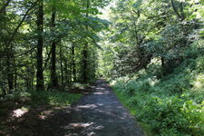Duitsland-Kassel ''Bergpark Wilhelmshöhe Wanderweg'' (1).JPG