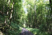 Duitsland-Kassel ''Bergpark Wilhelmshöhe Wanderweg'' (2).JPG
