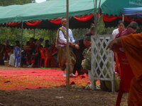 DSCN8933.JPG DSCN8933.JPG