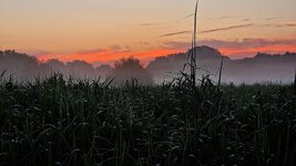 20261005_073253.jpg