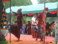 DSCN8942.JPG DSCN8942.JPG