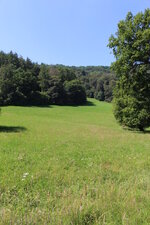Duitsland-Kassel ''Bergpark Wilhelmshöhe Wiese'' (3).JPG