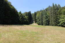 Duitsland-Kassel ''Bergpark Wilhelmshöhe Wiese'' (4).JPG