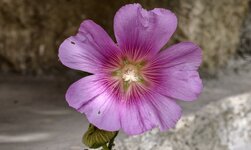 IMG_20261006_133404.jpg