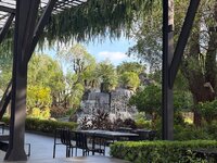 IMG_4540.jpeg IMG_4540.jpeg