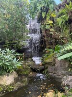 IMG_4546.jpeg IMG_4546.jpeg