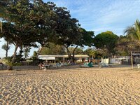 IMG_4552.jpeg IMG_4552.jpeg