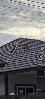 20260712_061918.jpg