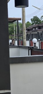 20260713_060945.jpg