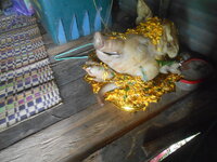 DSCN8990.JPG