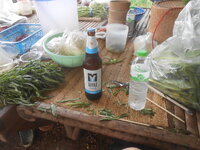 DSCN9029.JPG