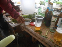 DSCN9031.JPG