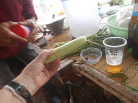 DSCN9032.JPG