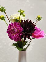 IMG_20261015_134324.jpg