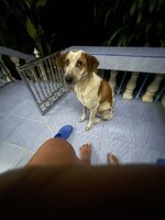 IMG_9007.jpeg