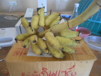 DSCN9104.JPG